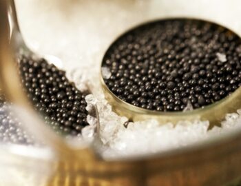 caviar de qualité